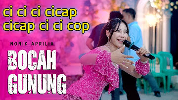 Nonik Aprilia - Bocah Gunung ( Garap KenMir - Rock - CiciciciCap - Dongkrek - Skop Skop ) KMB Gedruk