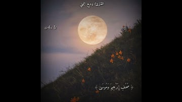 القارئ وديع اليمني || حالات واتس اب قرآن كريم ❤❤