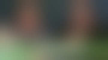 Andy Kindler & J. Elvis Weinstein | Getting Doug with High