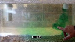 How often should you pump your septic tank?