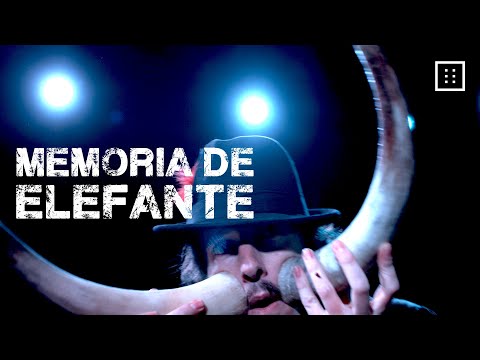 Antonio Hernando - Memoria de Elefante (Vídeoclip Oficial) [4K]