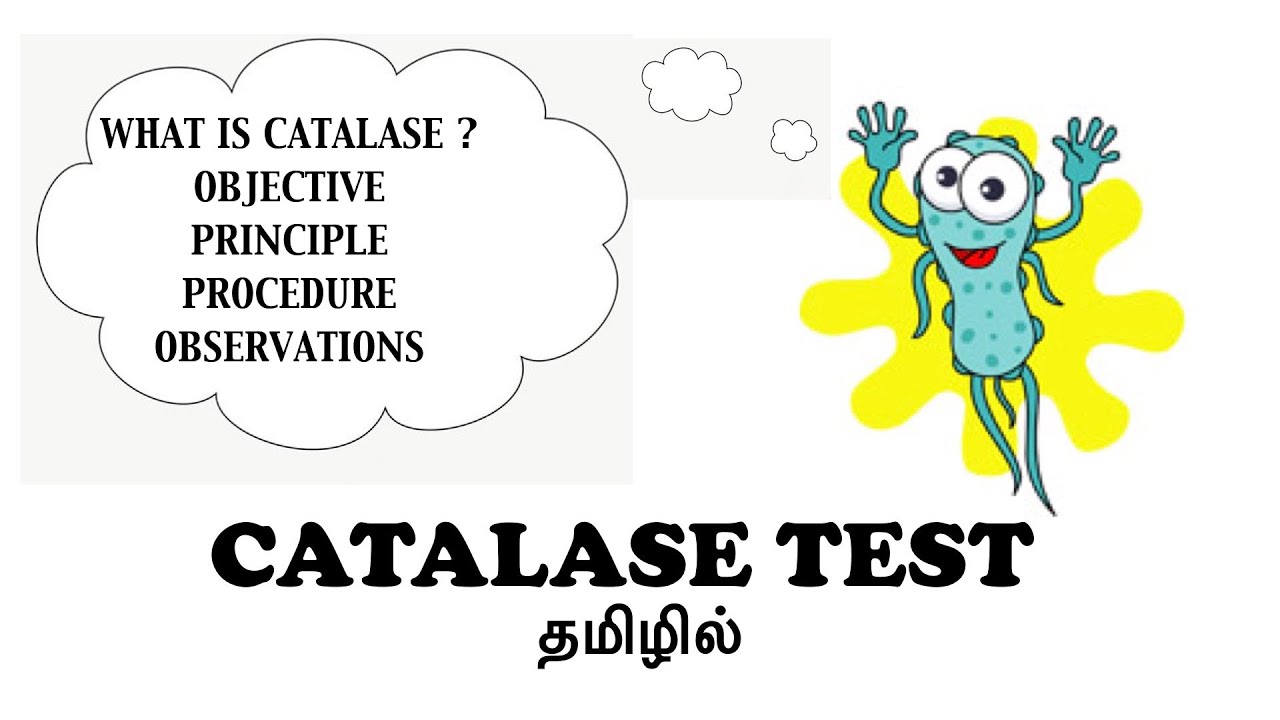 Catalase test / Biochemical tests / Two methods - slide test and tube ...