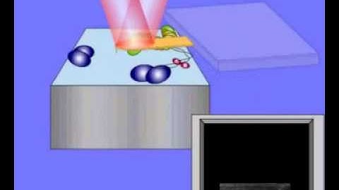 High-Speed AFM and Applications to Biomolecular Systems: Supplemental Video 1