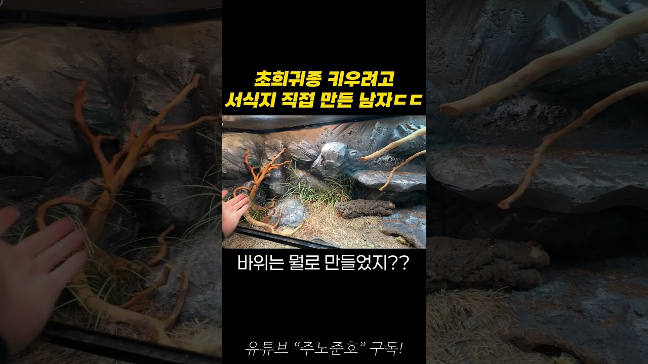 이걸 어떻게 만든 거죠??