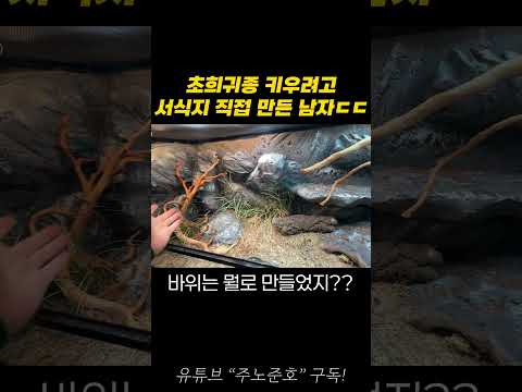 이걸 어떻게 만든 거죠??