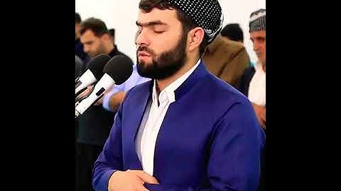 سورة الطارق صوت جميل جدا /للشيخ قادر الكردي