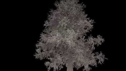 GrowFx Tree Anim