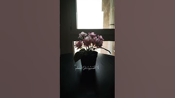 قراءة القرآن الكريم انشر المقطع اجر لي ولكم #القرآن_الكريم #المصحف #quran