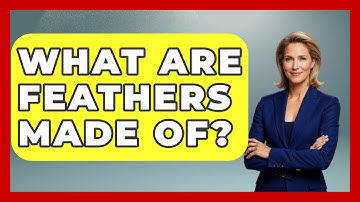 What Are Feathers Made Of? - Bird Watching Diaries