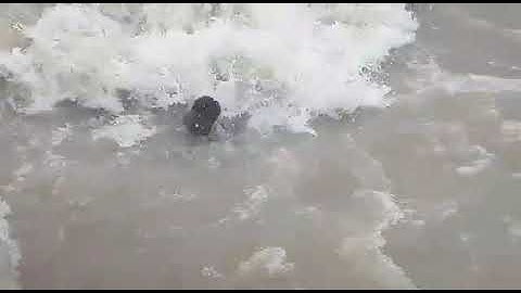 Rajrappa mandir me badh aaya