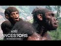 НАКОНЕЦ-ТО САВАННА ► Ancestors: The Humankind Odyssey #21