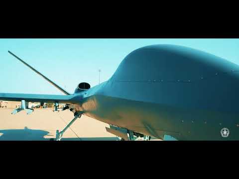 صقور الجو الأبطال