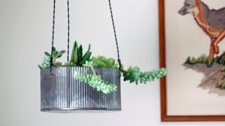 Hanging planters are perfect for any indoor or outdoor place because they save your space and are very convenient to use. You can 