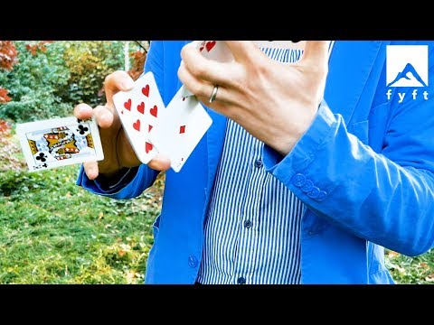 CARDISTRY.