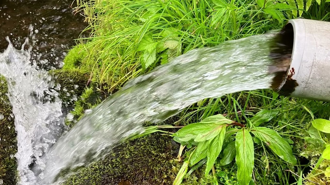 【マチコデラックス】湧水