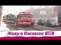 Живу в Ижевске 05.03.2018