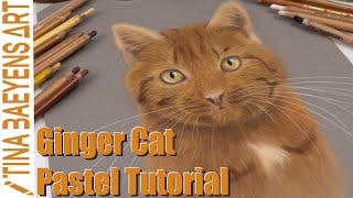GINGER CAT TUTORIAL with SOFT PASTELS | Step by step | TinaBaeyensArt screenshot 2
