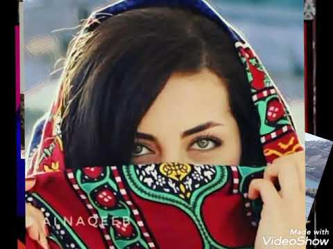 حبيب شاخالف العذال