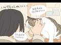 「ずっとのお家へ」迷い猫だったズズ、家猫へ。ズズくん野良猫ハル商店卒業することになりました🐈️#保護猫 #cat