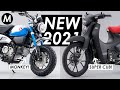New 2021 Honda Monkey & Super Cub C125 Update Announced!