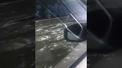Palembang banjir - Durasi: 0.16. 