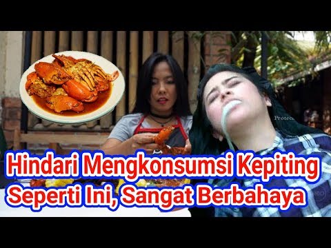 Video: Informasi Buah Kepiting: Kapan Makan Buah Kepiting