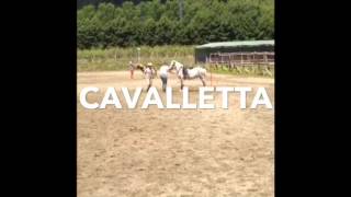 Allenamenti pony games big bubbles screenshot 5
