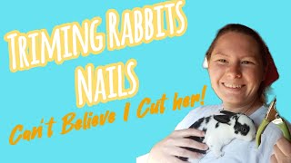 How to Trim Rabbit Nails!