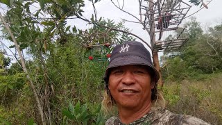 Download Lagu Gabungan 2 pikat solo mantap tompinai. MP3 Download Lagu Gabungan 2 pikat solo mantap tompinai. MP3