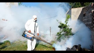Balnearia y Marull suman 100 casos autóctonos de dengue