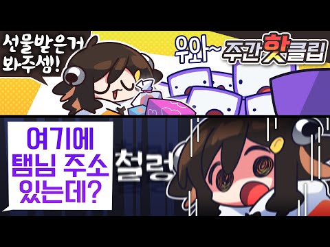 【 탬탬버린／3월 5주차 하이라이트! 】 - 3월 5주차에 있었던 핫클립들을 모아놓은 주간핫클립!