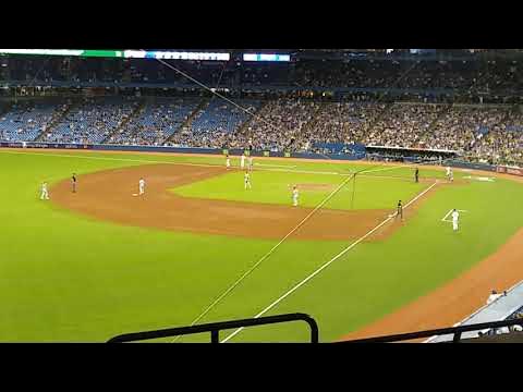 Let's go Blue Jays - Fringinto