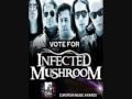 Infected Mushroom - Pink Nightmares (Video Lyrics and 1080p)