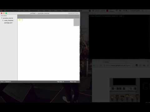 Node.Js Tutorial 1 - Setting Up The Server