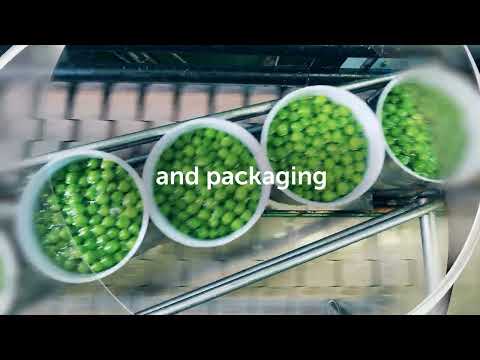 Optimising Food & Beverage Motion & Automation Systems thumbnail