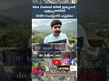 settling in New Zealand