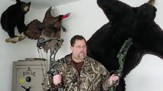 80Lb Prime Centergy Hybrid Versus 80Lb Prime Logic