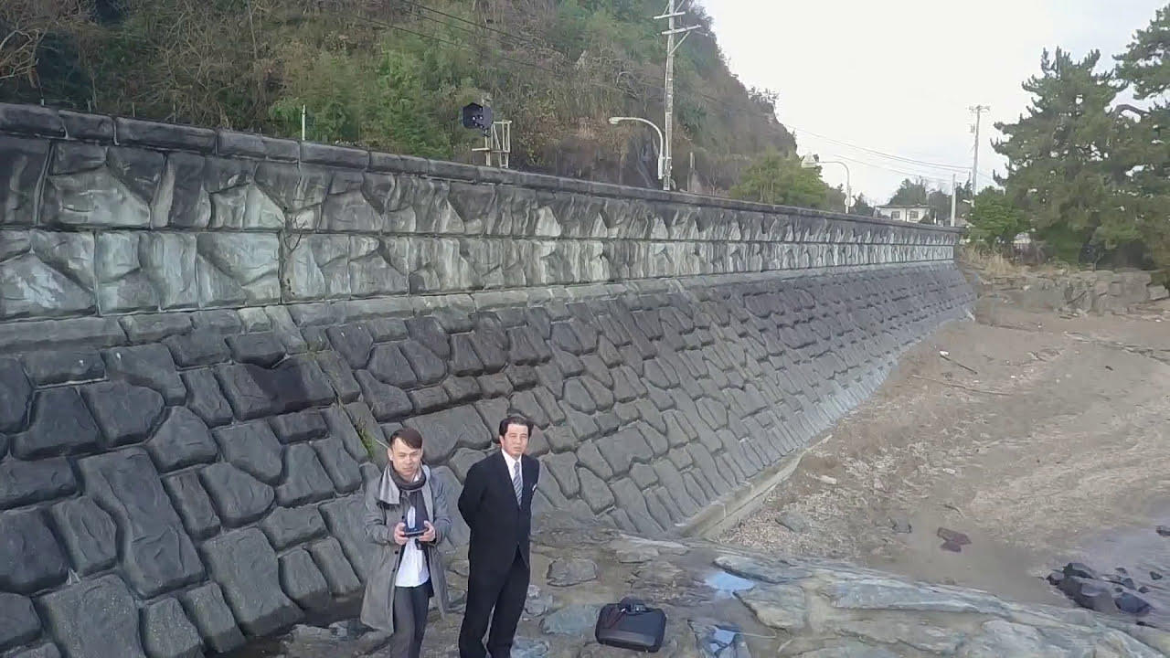 地方創生 とは 立山連峰に向かって雨晴海岸からドローンをぶっ飛ばす！　by DroneRanger