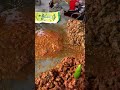 Cheapest Roadside Dhaba In Peshawar Tawa Kaleji Fry Spicy Juicy Kaleji Pakistani Street Food 