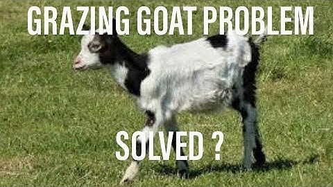 Grazing Goat problem finally solved ?
