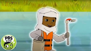 Molly of Denali | The Crane Dance! | PBS KIDS