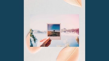 Mysterious Backdrops for Devoted Work