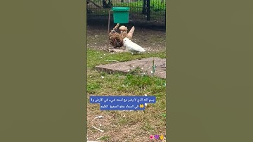 لا تغفل ولا تترك أذكار الصباح والمساء 👂👂#صلوا_على_النبي #اكسبلورر