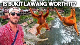 The Most EXPENSIVE Thing I've Done In Indonesia 🇮🇩 ($90, Is it worth it?...)