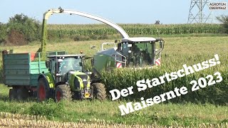 Lasset die Spiele beginnen - Start ins Maisfieber 2023 - Claas Jaguar 960 - Maishäckseln mit HG Cham