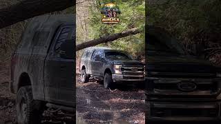 Crawling under a down tree! Please like and subscribe! #subscribe #automobile #offroad #overlanding