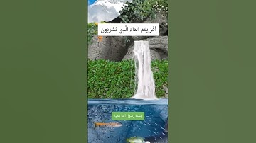 "أفرأيتم الماء الذي تشربون 💧 تلاوة تبعث الخشوع