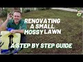 Renovating a small lawn full of moss down one side