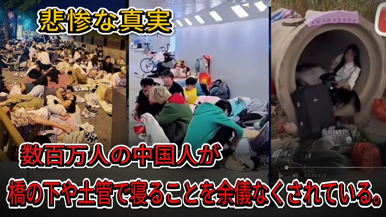 「史上最悪の惨状」 数百万人の中国の若者が 高架下や排水管で眠る現実