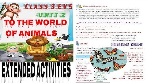 class3 evs unit 2 extended activities| To the World of animals  let us access activities#studychips